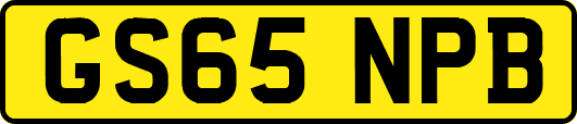 GS65NPB