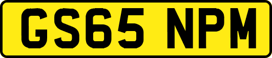 GS65NPM