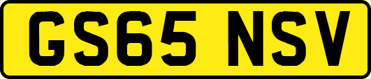 GS65NSV