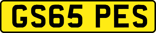 GS65PES