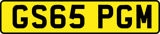 GS65PGM