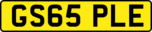 GS65PLE
