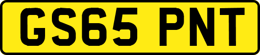 GS65PNT