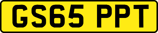 GS65PPT