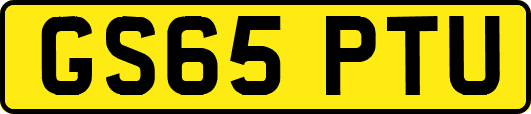 GS65PTU