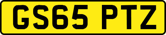 GS65PTZ
