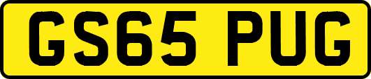 GS65PUG