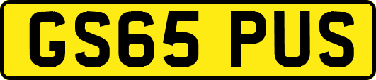 GS65PUS