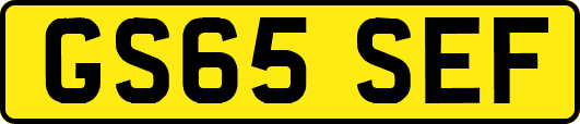 GS65SEF