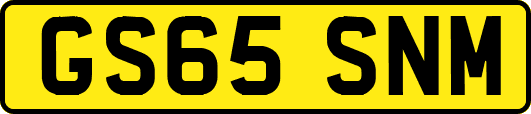 GS65SNM