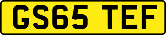 GS65TEF