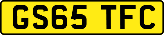 GS65TFC