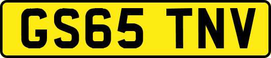 GS65TNV