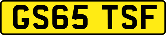 GS65TSF