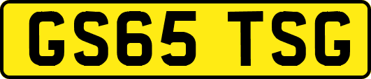 GS65TSG