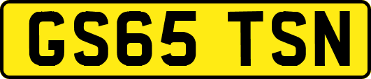 GS65TSN