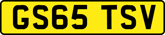 GS65TSV