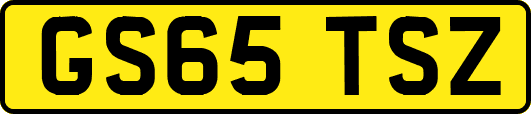 GS65TSZ