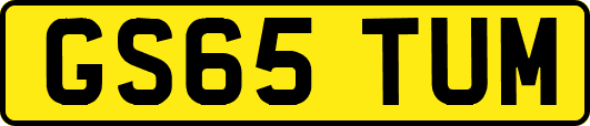 GS65TUM