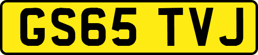 GS65TVJ