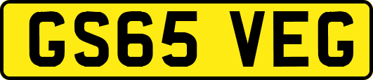 GS65VEG