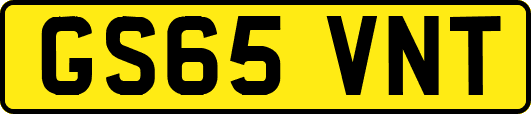 GS65VNT