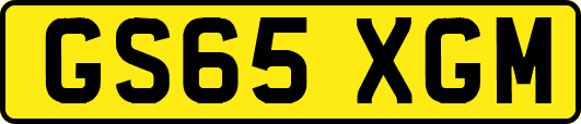GS65XGM