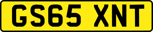 GS65XNT