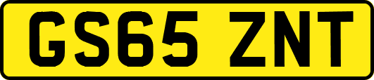 GS65ZNT