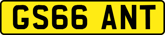 GS66ANT