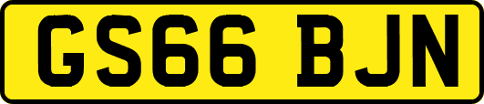 GS66BJN