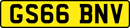 GS66BNV