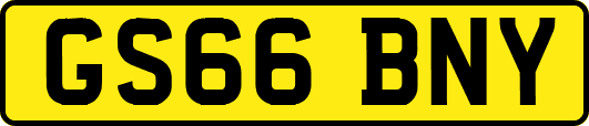 GS66BNY