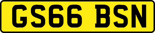 GS66BSN