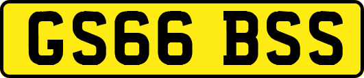 GS66BSS
