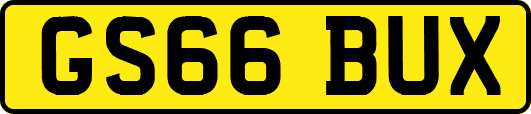 GS66BUX