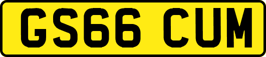 GS66CUM