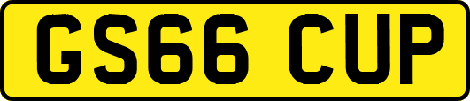 GS66CUP