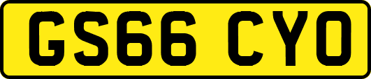 GS66CYO