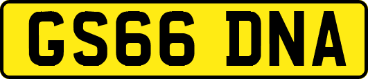 GS66DNA