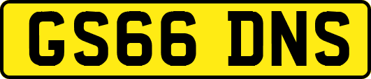 GS66DNS