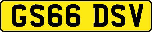 GS66DSV