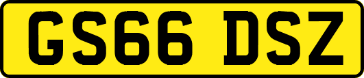 GS66DSZ