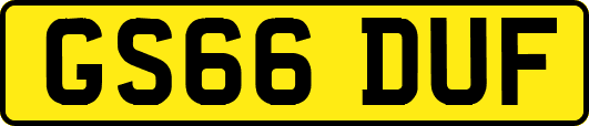 GS66DUF