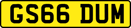 GS66DUM