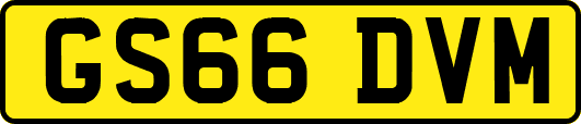 GS66DVM