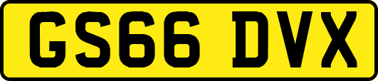 GS66DVX