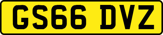 GS66DVZ