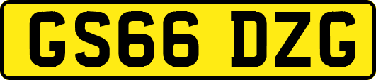 GS66DZG