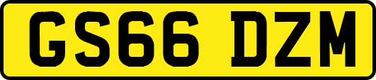 GS66DZM